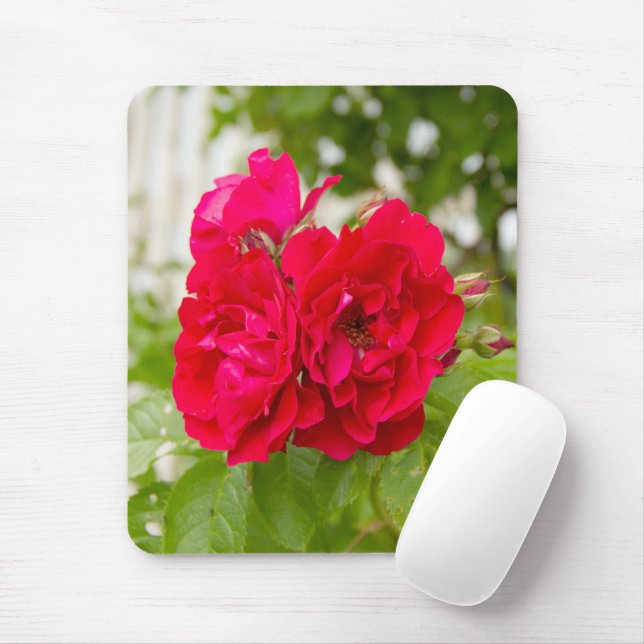 Big red roses in the garden  mouse mat (With Mouse)