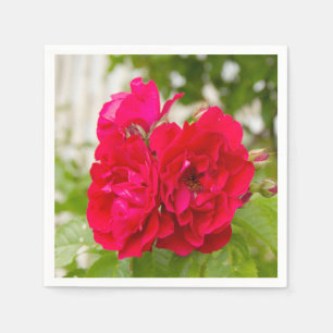 Big red roses in the garden napkin