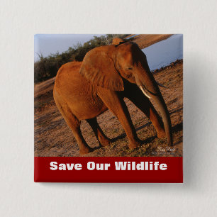 Big Red Save Our Wildlife 15 Cm Square Badge