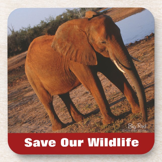 Big Red Save Our Wildlife Coaster (Front)