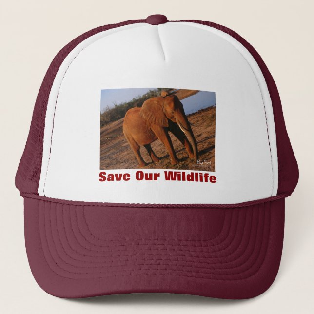 Big Red Save Our Wildlife Hat (Front)