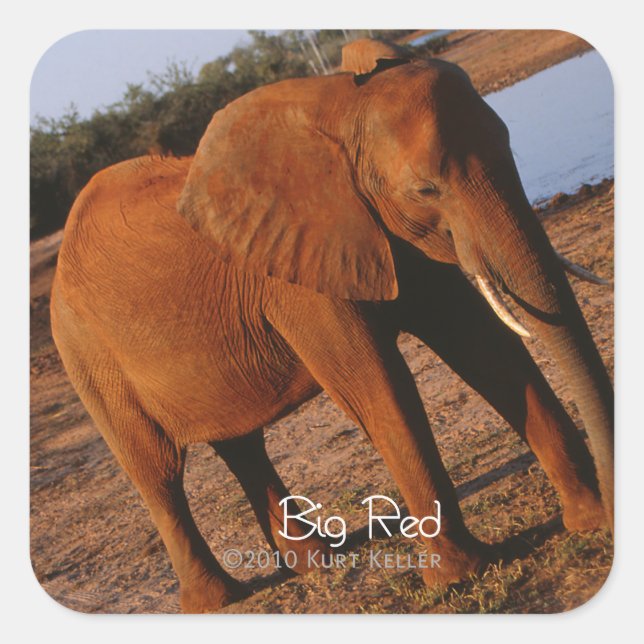 Big Red Square Sticker (Front)