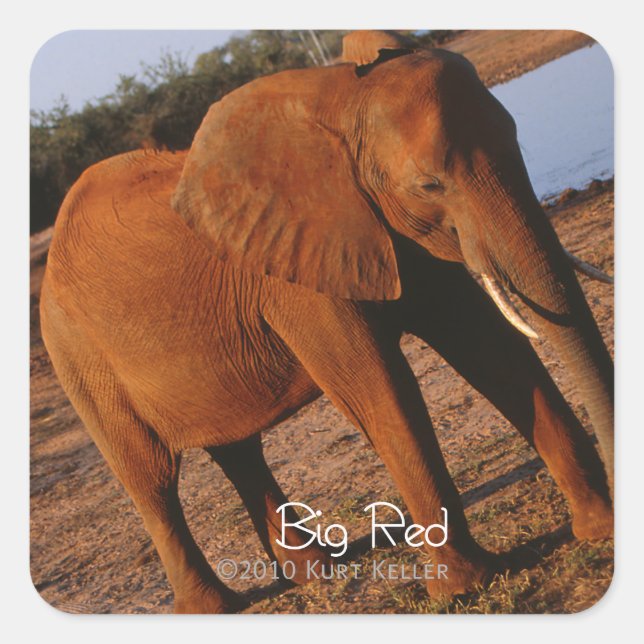 Big Red Square Sticker (Front)