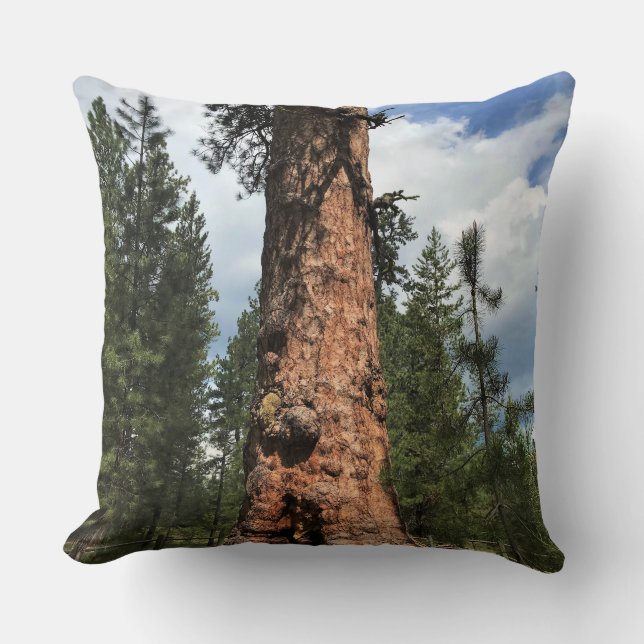 Big Red Tree, La Pine, OR Cushion (Front)