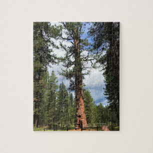 Big Red Tree, La Pine, OR Jigsaw Puzzle