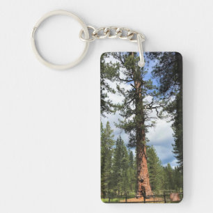 Big Red Tree, La Pine, Oregon Key Ring