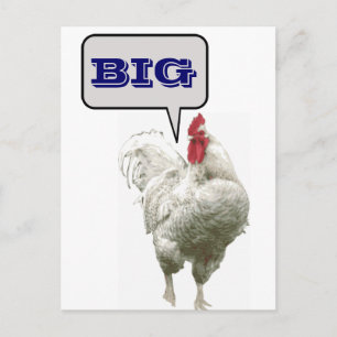 Big Rooster Postcard