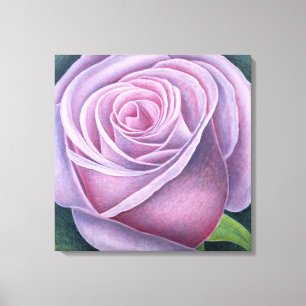 Big Rose 2003 Canvas Print
