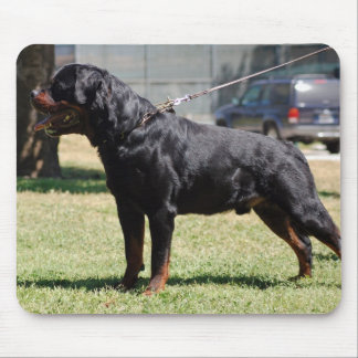 Big Rottie Mouse Mat