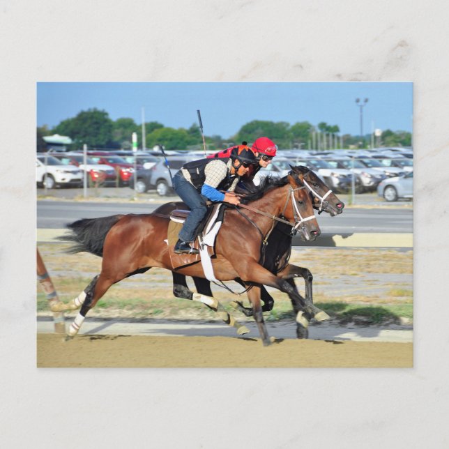 Big Sandy Workouts Postcard (Front)
