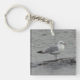 Big seagull key ring