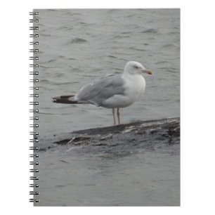 Big seagull notebook