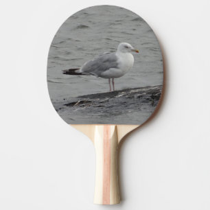 Big seagull ping pong paddle