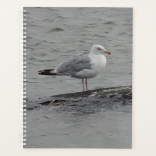 Big seagull planner