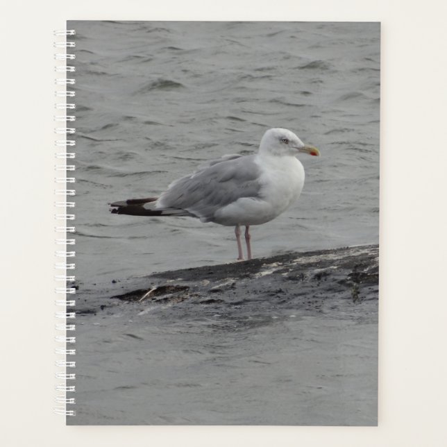 Big seagull planner (Front)