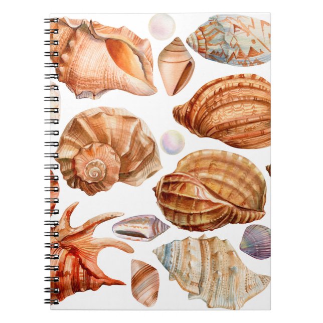 big set of seashells on an isolated white backgrou notebook (Front)