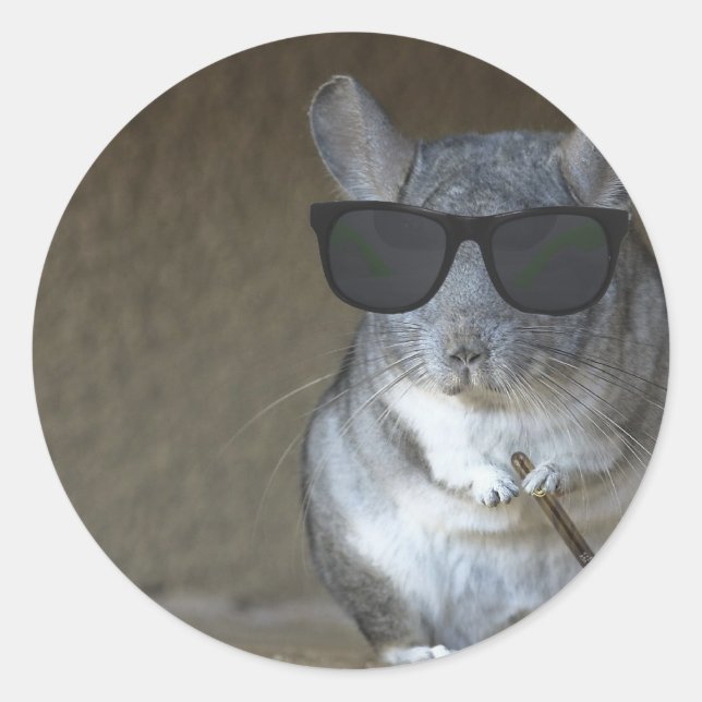 Big Shot Chinchilla Classic Round Sticker (Front)
