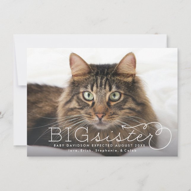 Big Sister Photo Pet Pregnancy Announcement (Front)