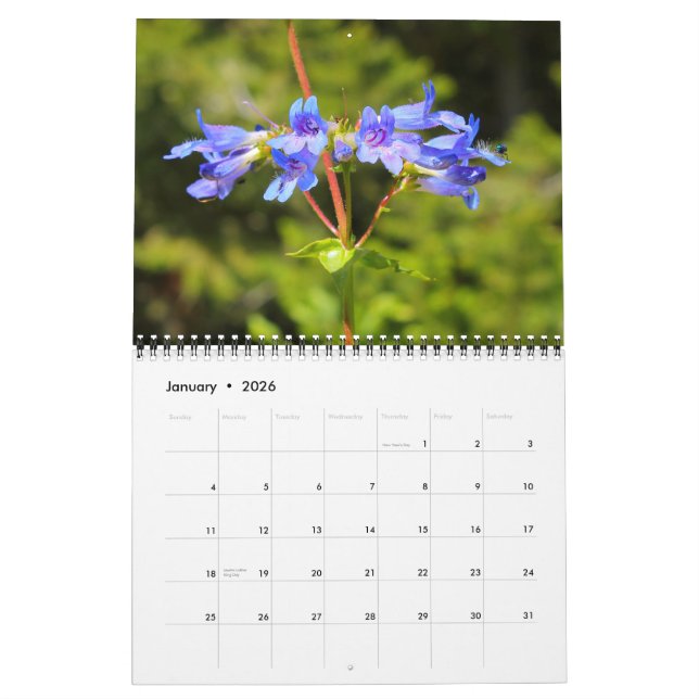 Big Sky Country Wildflowers 2012 Calendar (Jan 2026)