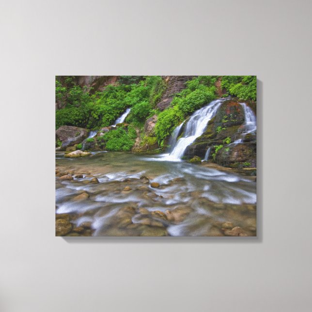 Big Springs Virgin River | Zion National Park Canvas Print (Front)