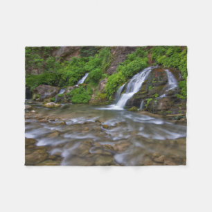 Big Springs Virgin River Zion National Park Fleece Blanket
