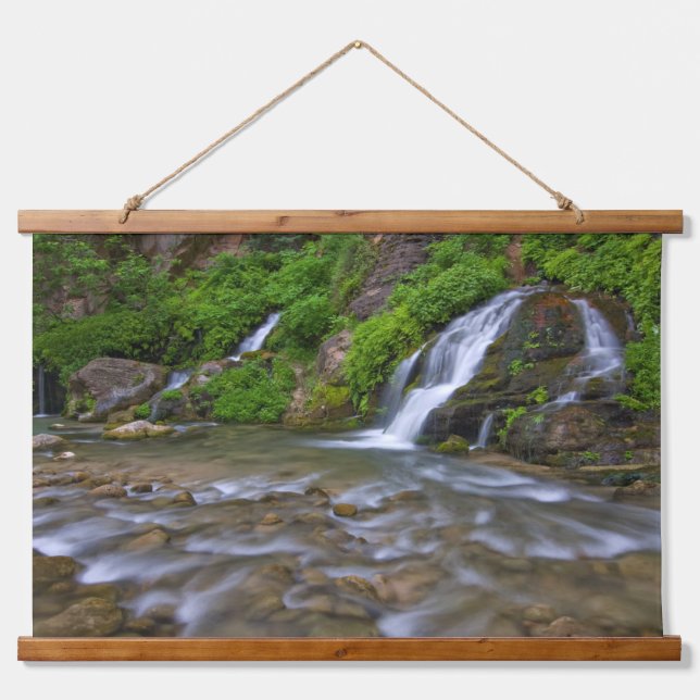Big Springs Virgin River | Zion National Park Hanging Tapestry (Front)