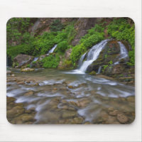 Big Springs Virgin River | Zion National Park