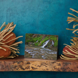 Big Springs Virgin River   Zion National Park Plaque