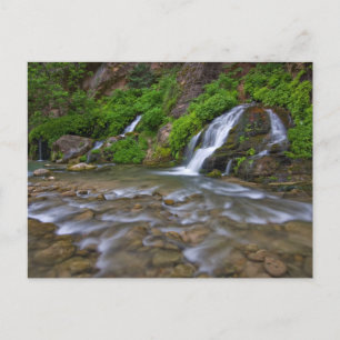 Big Springs Virgin River Zion National Park Postcard