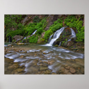 Big Springs Virgin River   Zion National Park Poster