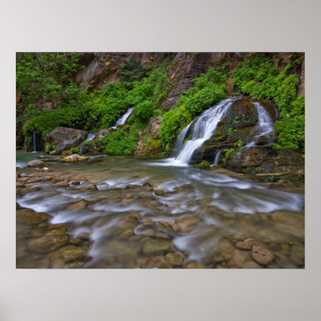 Big Springs Virgin River | Zion National Park Poster (Front)