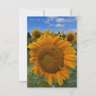 Big Sunflower & Blue Skies Card