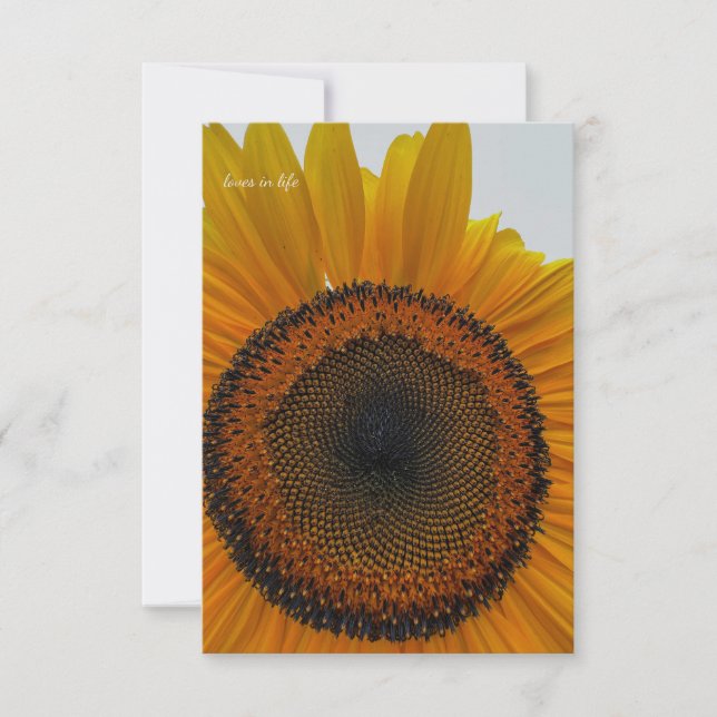 Big Sunflower Card (Front)