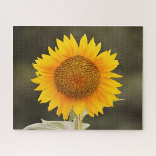 Big Sunflower Flower Puzzle