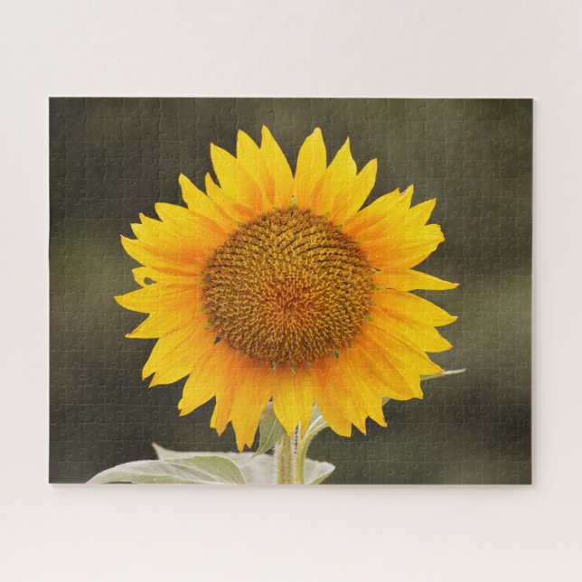 Big Sunflower Flower Puzzle (Horizontal)