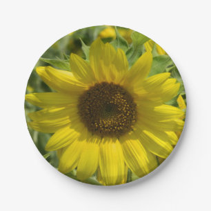 Big Sunflower Paper Plate