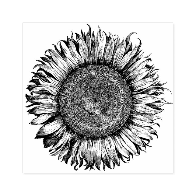 Big Sunflower   Rubber Stamp (Imprint)