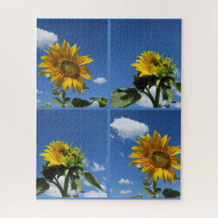 big sunflower shines yellow blue sky white little jigsaw puzzle