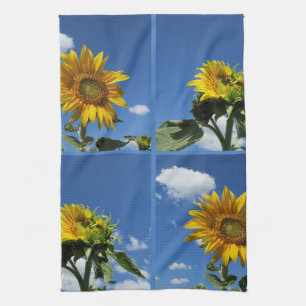 big sunflower shines yellow blue sky white little tea towel