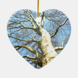 Big Sunny Tree Branches in Heavenly Blue Sky Ceramic Tree Decoration