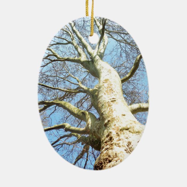 Big Sunny Tree Branches in Heavenly Blue Sky Ceramic Tree Decoration (Back)