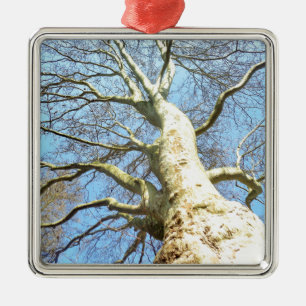 Big Sunny Tree Branches in Heavenly Blue Sky Metal Tree Decoration