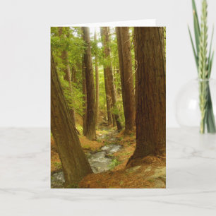 Big Sur, California Card