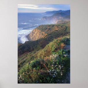 Big Sur Coast Vista Poster