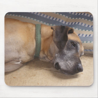Big Sweet Great Dane Mouse Mat