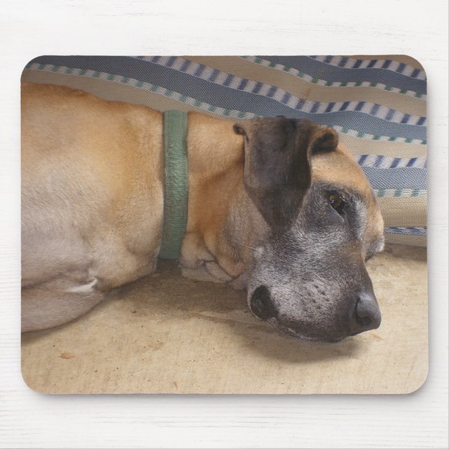 Big Sweet Great Dane Mouse Mat (Front)