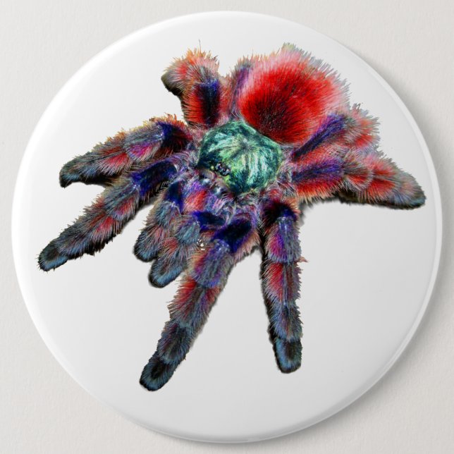 Big teal purple red and blue tarantula spider 6 cm round badge (Front)