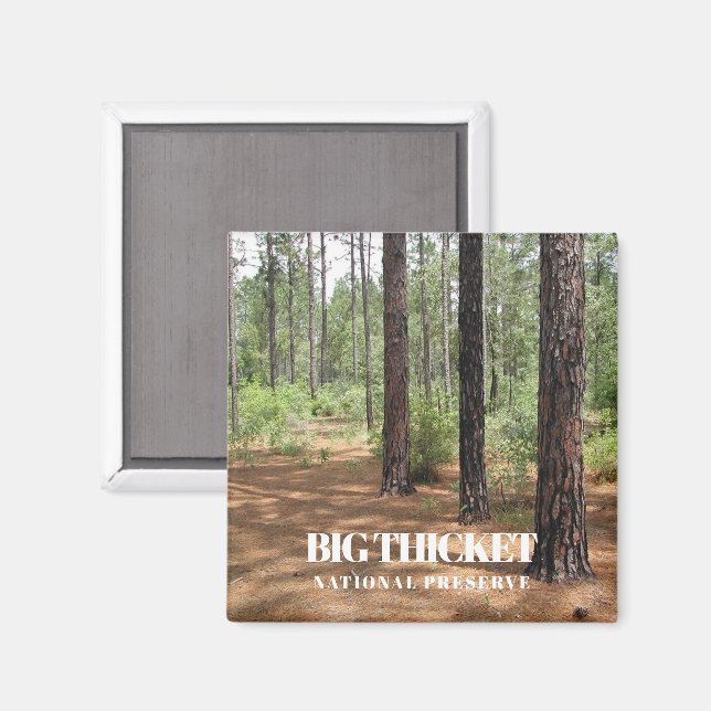 Big Thicket National Preserve, Pine Forest, Texas Magnet (Front/Back)