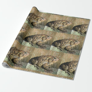 Big Toad Wrapping Paper