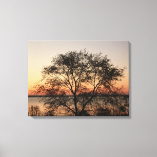 Big Tree Canvas Print